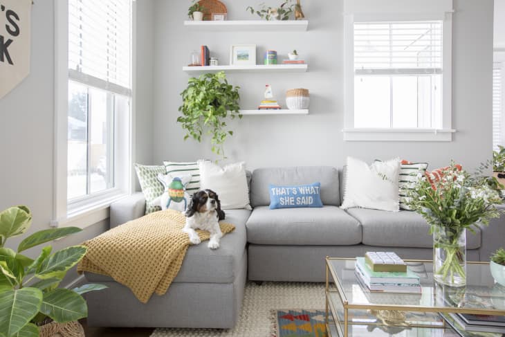 Best sectional online sofa for pets